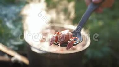 小龙虾在水中用香料和草药烹饪。 热煮小龙虾。 龙虾特写..